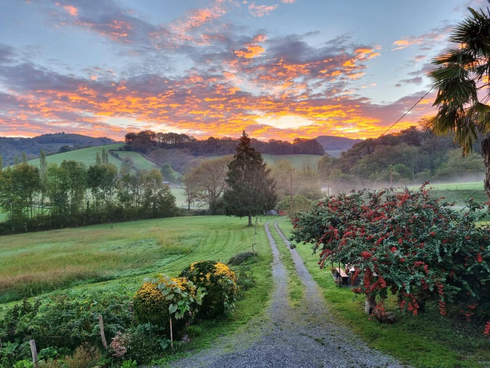 "Chez Naty" Chambres D'Hotes Au Pays-Basque Cheraute Exterior foto