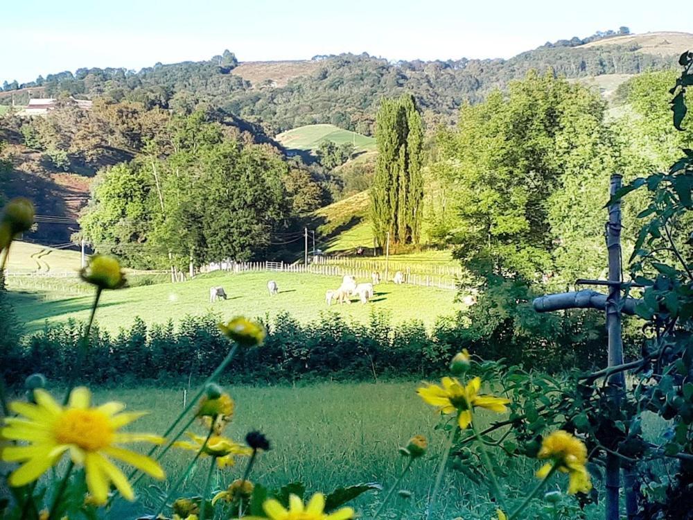 "Chez Naty" Chambres D'Hotes Au Pays-Basque Cheraute Exterior foto